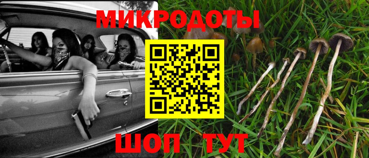 МЕФ Сочи