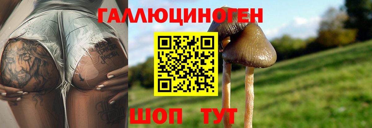 Псилоцибиновые грибы ЛСД  Вход с VPN  Галлюциногенные грибы Psilocybe  Сочи 